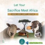 IMG-20250312-WA0042[1]